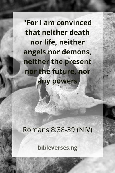 Romans 8:38-39 (NIV)
