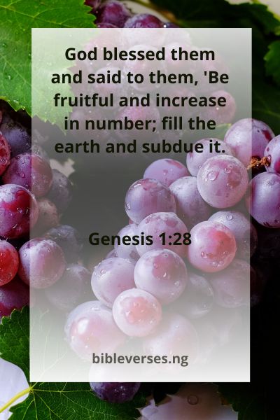 Genesis 1:28