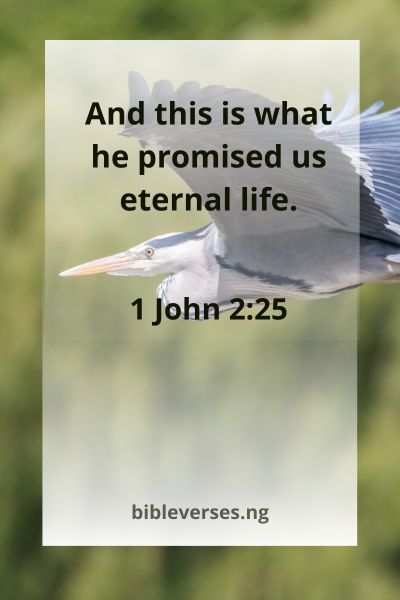 1 John 2:25