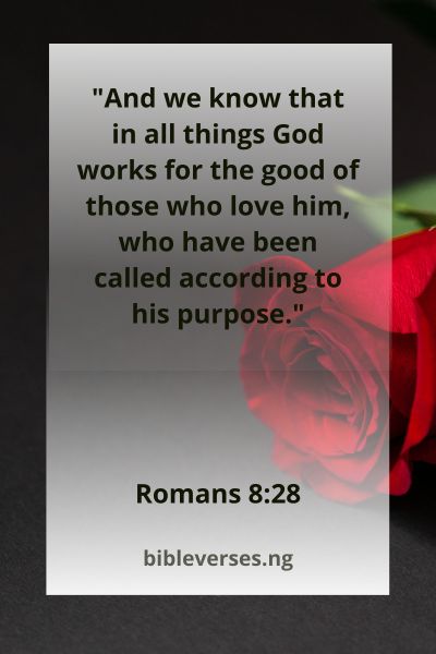 Romans 8:28