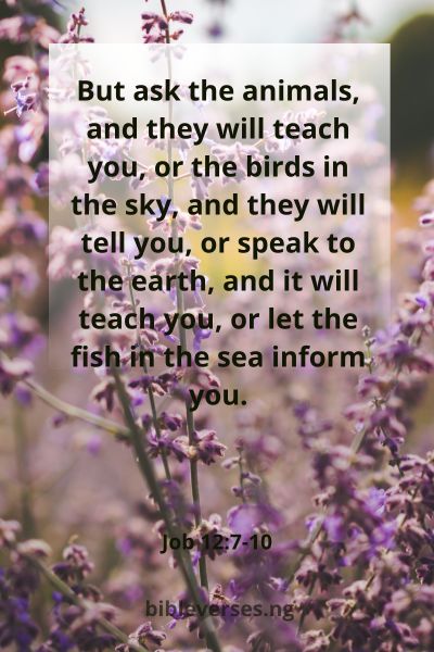 Job 12:7-10