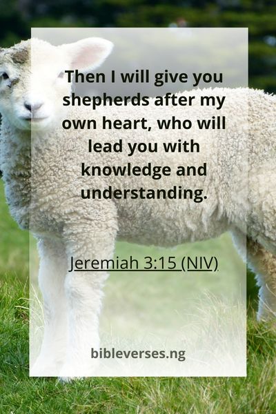 Jeremiah 3:15 (NIV)