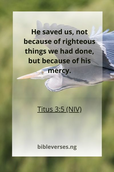 Titus 3:5 (NIV)
