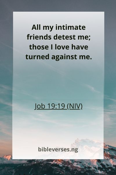 Job 19:19 (NIV)