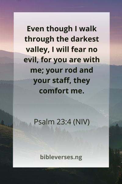 Psalm 23:4 (NIV)