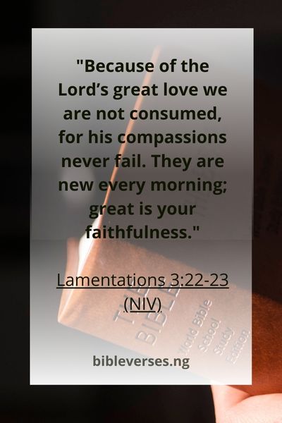Lamentations 3:22-23 (NIV)