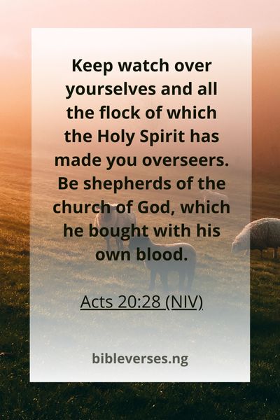 Acts 20:28 (NIV)
