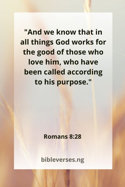 Romans 8:28