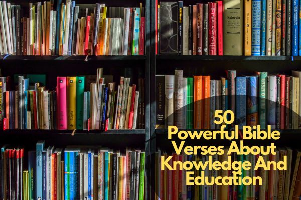 50 Powerful Bible Verses About Knowledge And Education