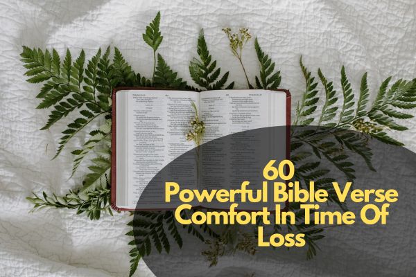 60 Powerful Bible Verse Comfort In Time Of Loss