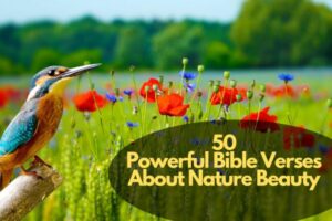 Bible Verses About Nature Beauty