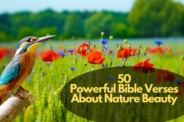 Bible Verses About Nature Beauty