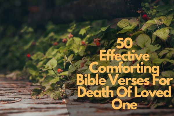 Comforting Bible Verses For Death Of Loved One