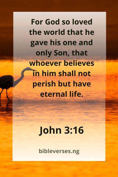 John 3:16