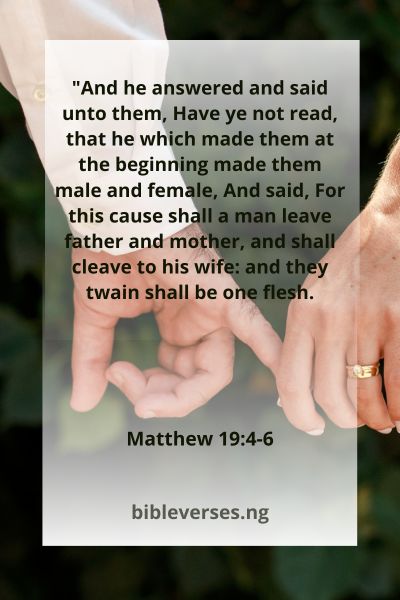 Matthew 19:4-6