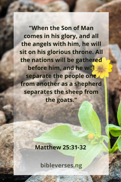 Matthew 25:31-32