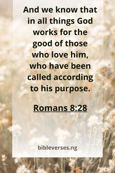 Romans 8:28