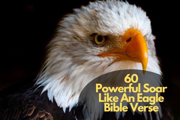 Soar Like An Eagle Bible Verse