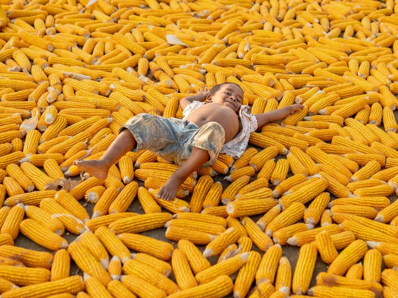 Bible Verses About Abundance And Prosperity